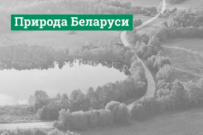 Один из крупных козырей Беларуси - уголки нетронутой природы