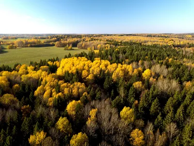 Природа Беларуси: озёра, реки и леса находящиеся на территории страны