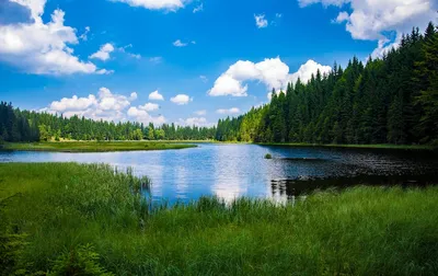Красивая природа Беларуси (75 фото) »
