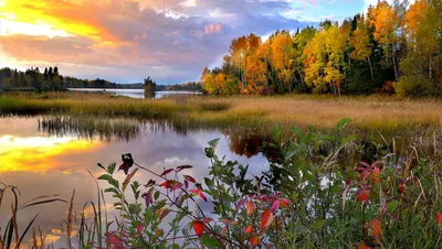 Природа Беларуси #Belarus #nature #reservoir #trip #travel #travelling  #tourist #tourism #Беларусь #природа #водохранилище #вяча… | Instagram