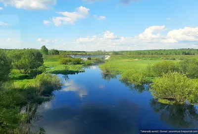 Красота белорусской природы (фоторепортаж) — ПРАЦА