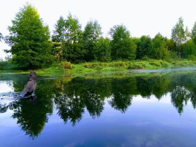 Увидел свет календарь «Дикая природа Беларуси» на 2023 год