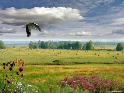 Белорусская природа - красивые фото