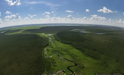 Природа Новосибирской области с высоты (2010): gelio — LiveJournal