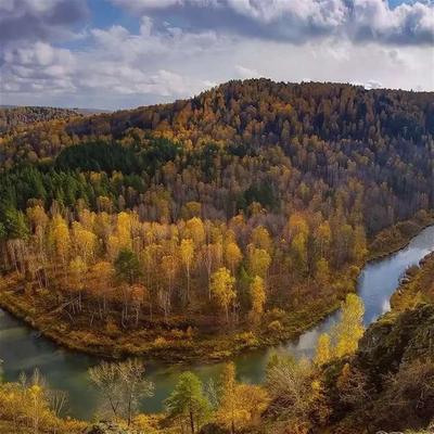 Охота в Новосибирской области 2024: сезон, открытие, сроки - Охотничий  портал HuntPoint