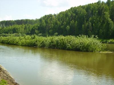 Губернатор Новосибирской области дал поручение на развитие туристического  «Озерного кластера»