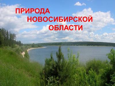 Природа Новосибирской области