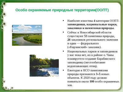 Три красивейших места Новосибирской области: как до них добраться, маршруты  для автомобильных путешествий по Новосибирской области - 3 июля 2020 -  НГС.ру