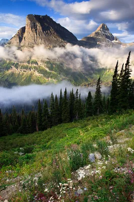 Красота национальных парков Северной Америки. Часть первая. | Пикабу