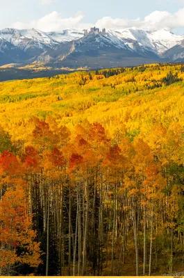 Картинки США Панорама Maroon Bells Горы Осень Природа Пейзаж