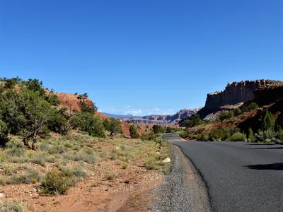 Перевал Ohio Pass, Колорадо, США / лес :: США :: фото :: Осень :: горы ::  пейзаж :: Природа (красивые фото природы: моря, озера, леса) / смешные  картинки и другие приколы: комиксы, гиф анимация, видео, лучший  интеллектуальный юмор.