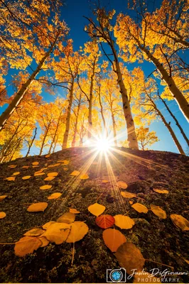 Фотографии США Grand Teton National Park Горы Природа Парки река