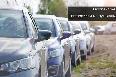 В Украине больше не будут продавать авто с рук: закон о перепродажах б/у  машин