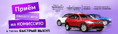 С 2023 года белорусы будут продавать автомобили по новым правилам: уйдут ли  нечестные «перекупы»? — Блог Гродно s13