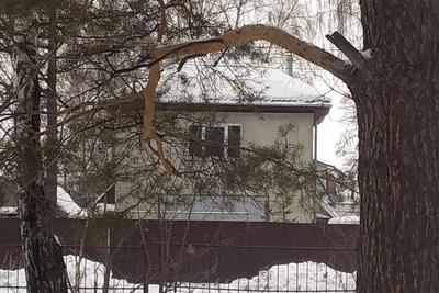 Купить дом в пригороде в Новосибирске: цены, 🏡 недорого