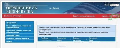 Как проверить статус визы в США – Сайт Винского