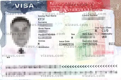 Как проверить статус визы в США – Сайт Винского