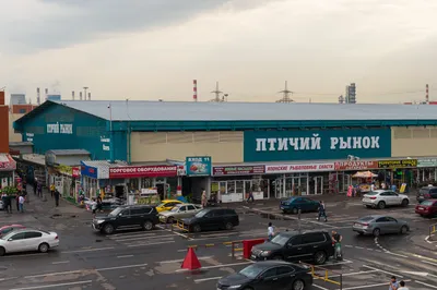 Птичий рынок, рынок, МКАД, 14-й километр, 23, Москва — Яндекс Карты