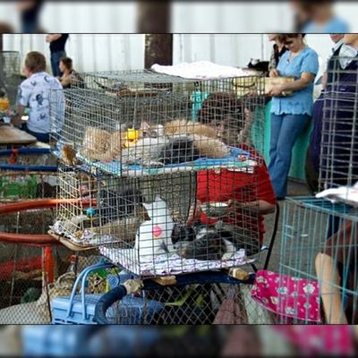 Рынок Садовод в Москве: как доехать, что купить | Шубы на Садоводе
