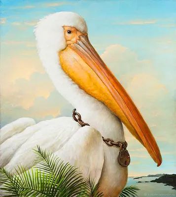 Невероятные иллюстрации из винтажной книги Джона Одюбона «Птицы Америки»