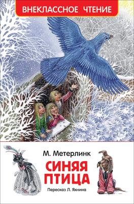 Северные попугаи в центре Екатеринбурга | Братья и сестры птицы | Дзен