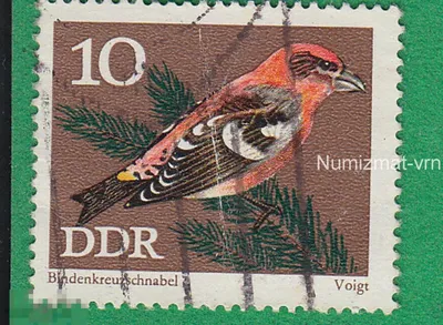 Парк Птиц в Ниндорфе (Ниндорф, Германия) - авторский обзор, часы работы,  цены, фото | Коллекция Кидпассаж