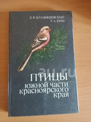Птицы Красноярска фото фотографии