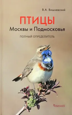 Птицы Москвы - Дыбр