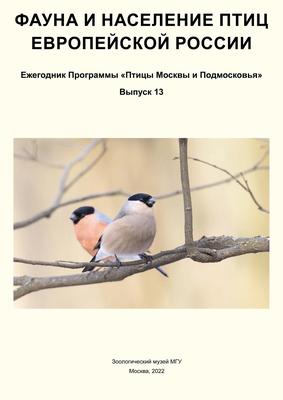 Первые птицы начали улетать на зимовку из Москвы - Российская газета
