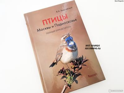 Птицы Москвы и Подмосковья: Полный определитель | Фитон XXI