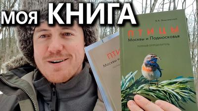 Птицы Москвы и Подмосковья