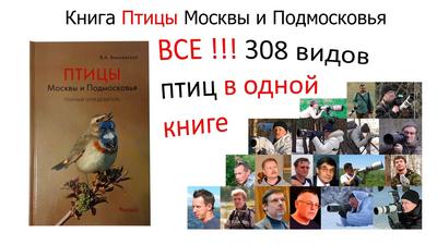 Птицы Москвы и Подмосковья: Полный определитель | Фитон XXI