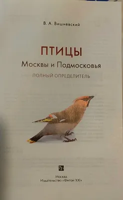 Семинар программы «Птицы Москвы и Подмосковья» 11 октября 2017 г.