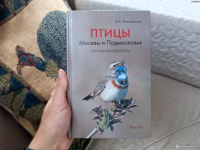 Птицы Подмосковья - фото с названиями.