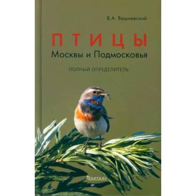 Определитель московских птиц: от дрозда до зеленой пересмешки - МК