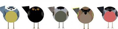 Редкие птицы Санкт-Петербурга: зимородок - ГКУ «Дирекция особо охраняемых  природных территорий Санкт-Петербурга»