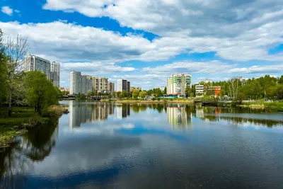 Город Пушкино в московской области - плюсы и минусы