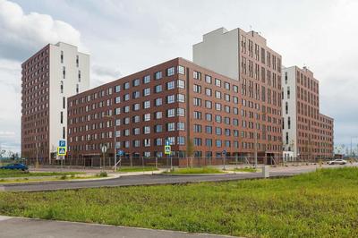 На юге Екатеринбурга напротив Солнечного предложили построить район на 60  тысяч человек - 19 августа 2021 - Е1.ру