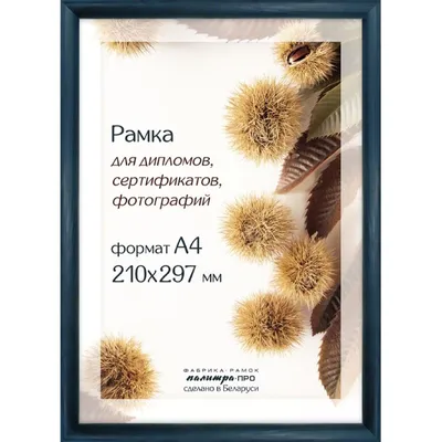 Рамка деревянная со стеклом 21х30 Д14КЛО/1236 (синяя) купить в Минске, цены