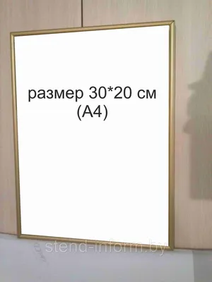 Рамка алюминиевая цвет золото р-р А4: продажа, цена в Минске. Фоторамки и  рамки для картин от \"СтендИнформ\" - 65814799