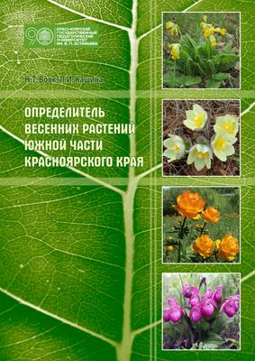 В Красноярском крае издали новую Красную книгу растений и животных —  Новости «Северного Города»