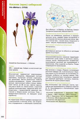 Красная книга Растения в Новосибирске