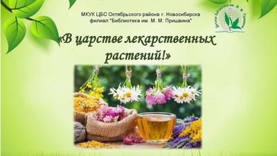 В Новосибирске пытались провезти цветы со ржавчиной | | Infopro54 - Новости  Новосибирска. Новости Сибири