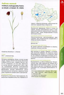 В царстве лекарственных растений Новосибирской области - YouTube