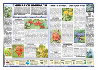 Искусственное растение в горшке Лаванда ø18 h50 см по цене 305 ₽/шт. купить  в Новосибирске в интернет-магазине Леруа Мерлен