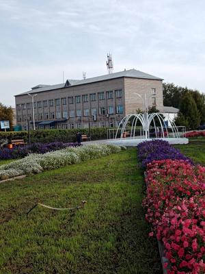 Топ-6 мест в Новосибирской области для красивых летних селфи — Афиша  Новосибирска