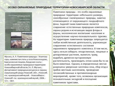 Книга: Определитель растений Новосибирской области Отв.ред. А.В.Куминова.  Худ.В.Зайцев. Купить за 300.00 руб.