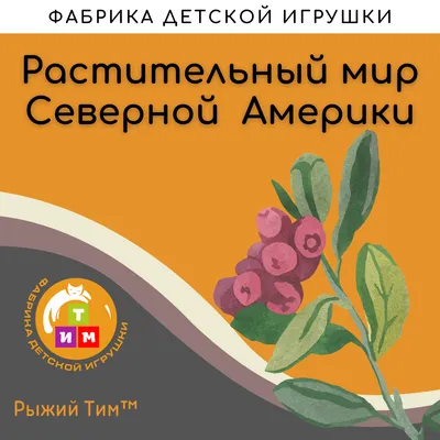 Субтропические растения Северной и Южной Америки, оранжерея №4