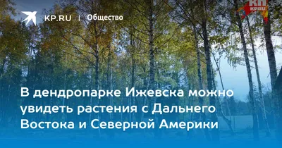 Растительный и животный мир Северной Америки - презентация онлайн