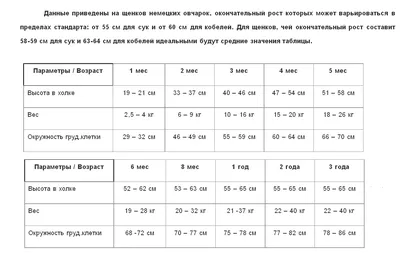 Как кормить